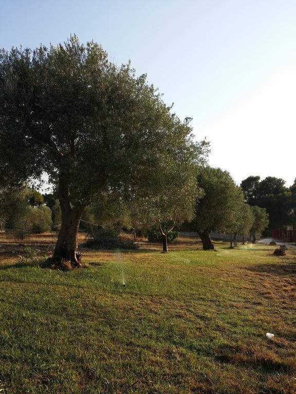 Agriturismo "Terra D'Ulivi" Порто-Чезарео Номер фото